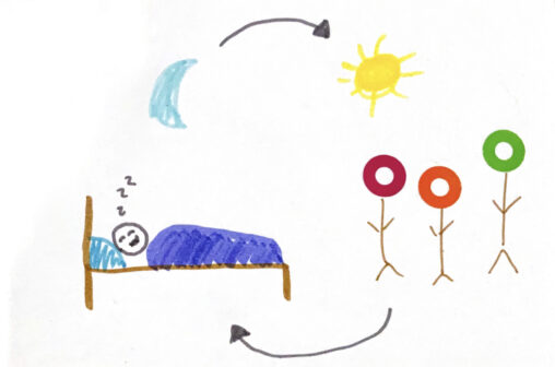 The comic has a person sleeping in bed on the left side and three friends on the right. There are also arrows that symbolize a cycle.