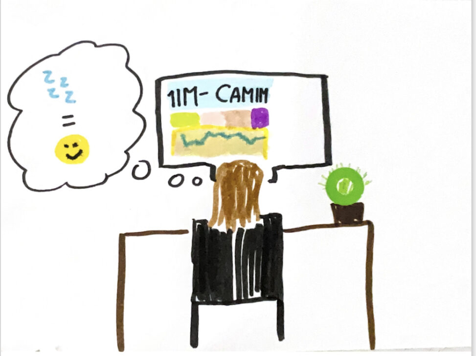 The comic is of a girl sitting at a desk. The desk has a computer on which google sheets is open. The desk also has a cactus on it and the girl has a thought bubble with a smiley face, equal sign and “Z”s as a symbol of sleep.