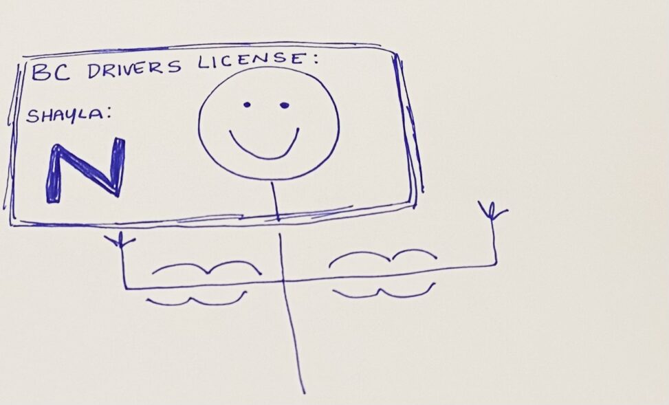 A stick figures face is inside a BC novice drivers licence. The figures body protrudes below it showing muscular arms.